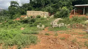 Plot at Asonkore Ssnit Extension West