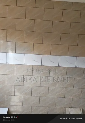 Professional Tiler