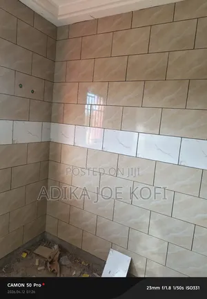 Professional Tiler