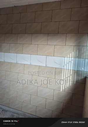 Professional Tiler