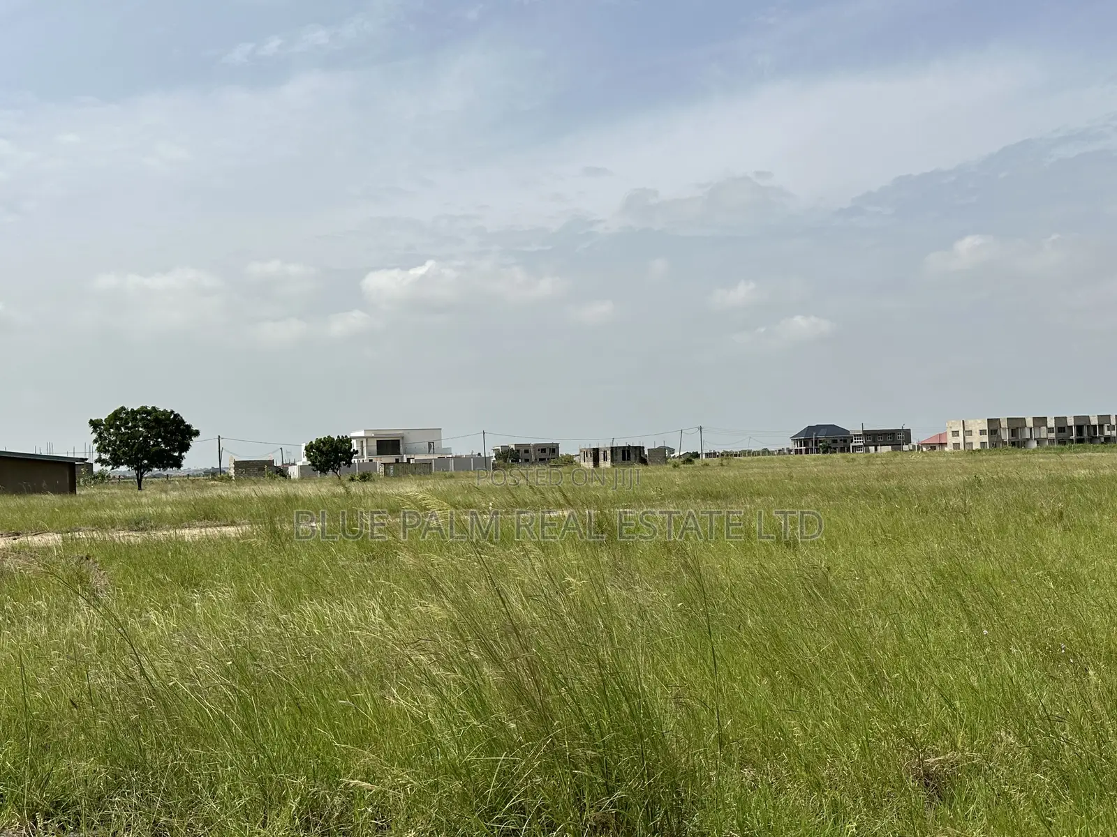 Land for Immediate Sale and Free Document