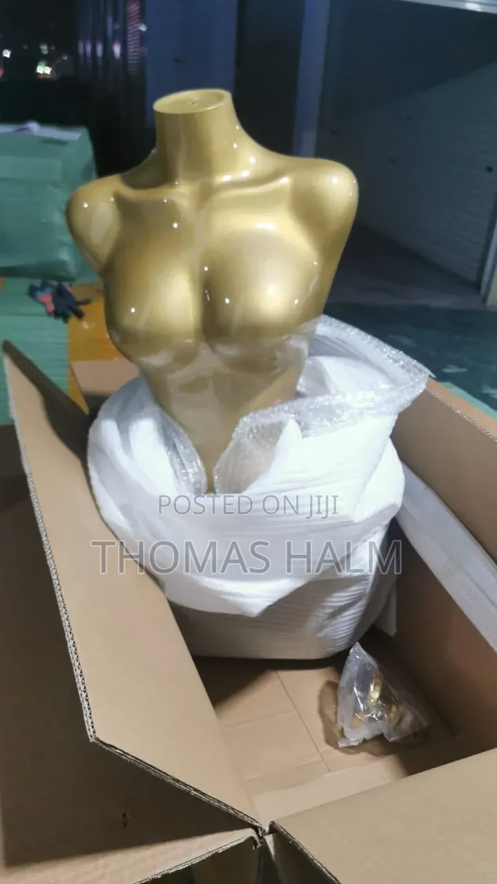 Mannequinx