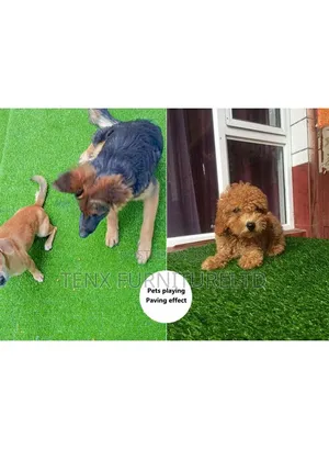 Synthetic Artificial Grass