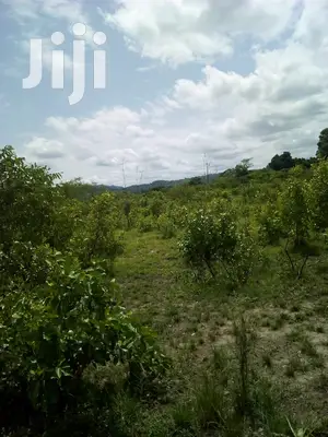 20.000 Acres of Farm Land for Sale