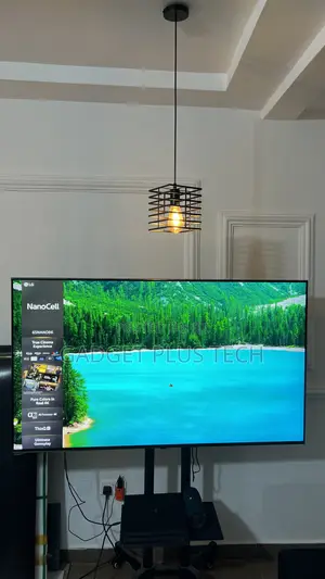 2021/22 65” LG Nanocell UHD Smart TV