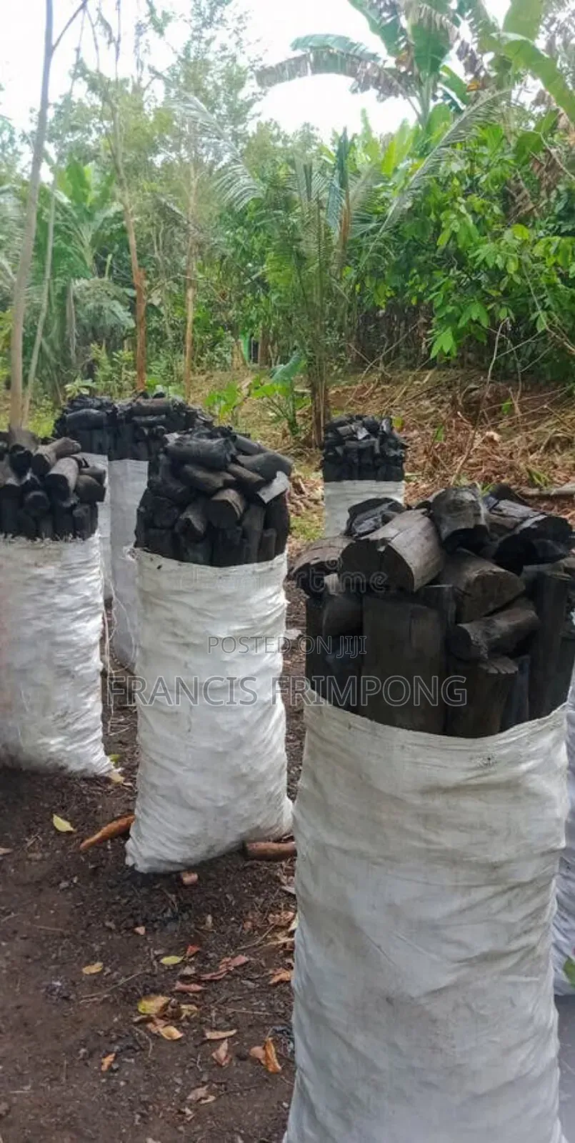 Charcoal in Sack Bag