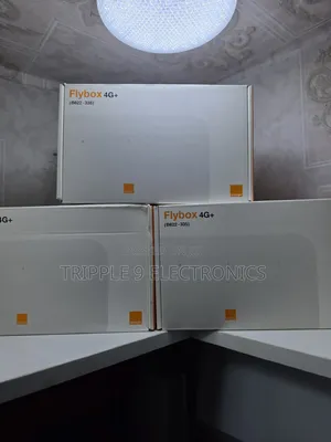 Huawei Flybox Universal Router.