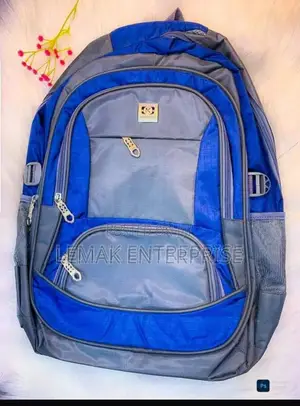 School Bag / Backpack Stylish Blues Grey Color