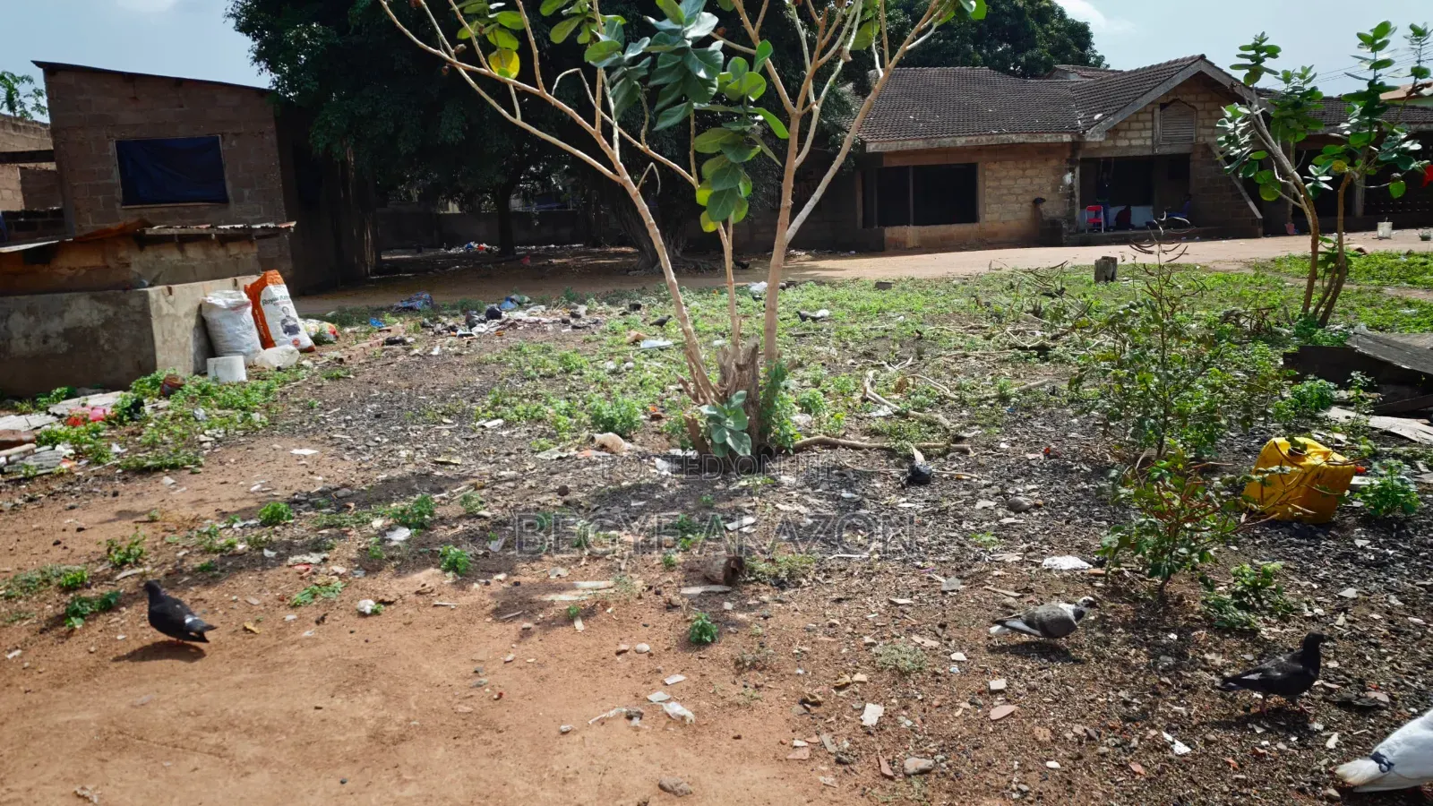 2.5 Acre Land for Sale at Madina