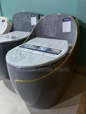 Sleek Wc With Gold Design