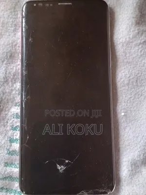 Samsung S9 Screen. With Small Crack