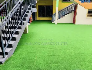 Thick Carpet Grass