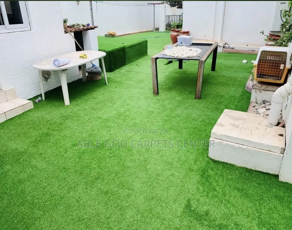 Thick Carpet Grass