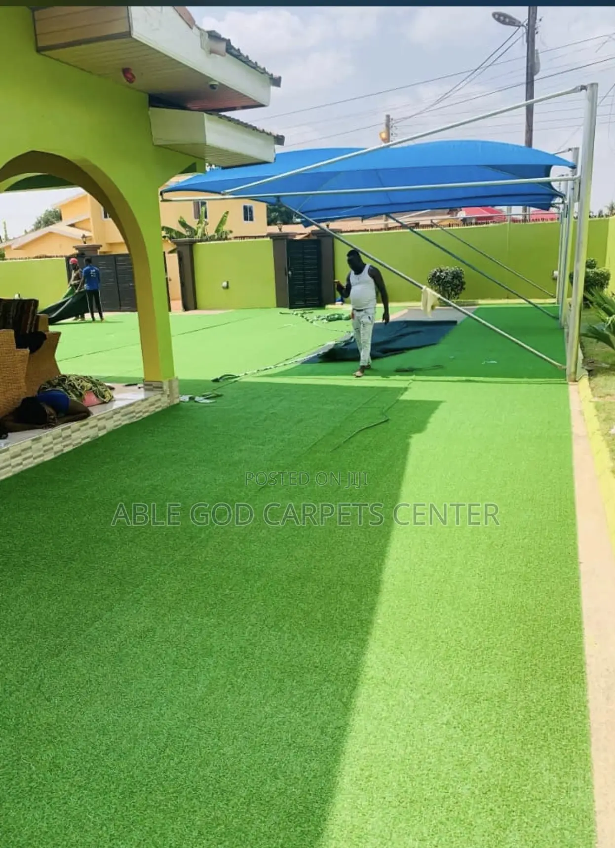 Thick Carpet Grass