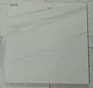 60/60 Porcelain Indian Tiles