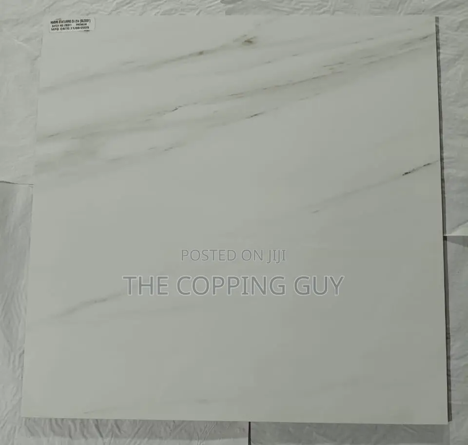 60/60 Porcelain Indian Tiles