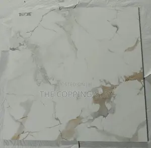 60/60 Porcelain Indian Tiles