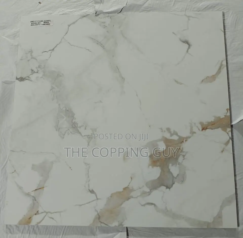 60/60 Porcelain Indian Tiles