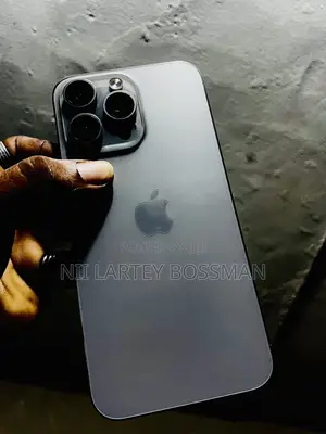 Apple iPhone 15 Pro Max 256 GB Silver
