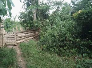 One Acre Farm Land for Sale at Mankranso Baaniekrom