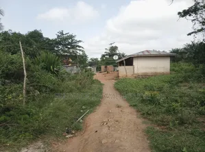 One Acre Farm Land for Sale at Mankranso Baaniekrom