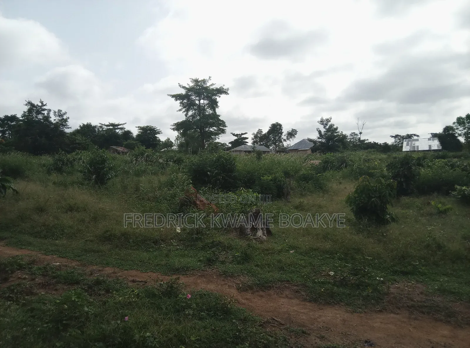 One Acre Farm Land for Sale at Mankranso Baaniekrom