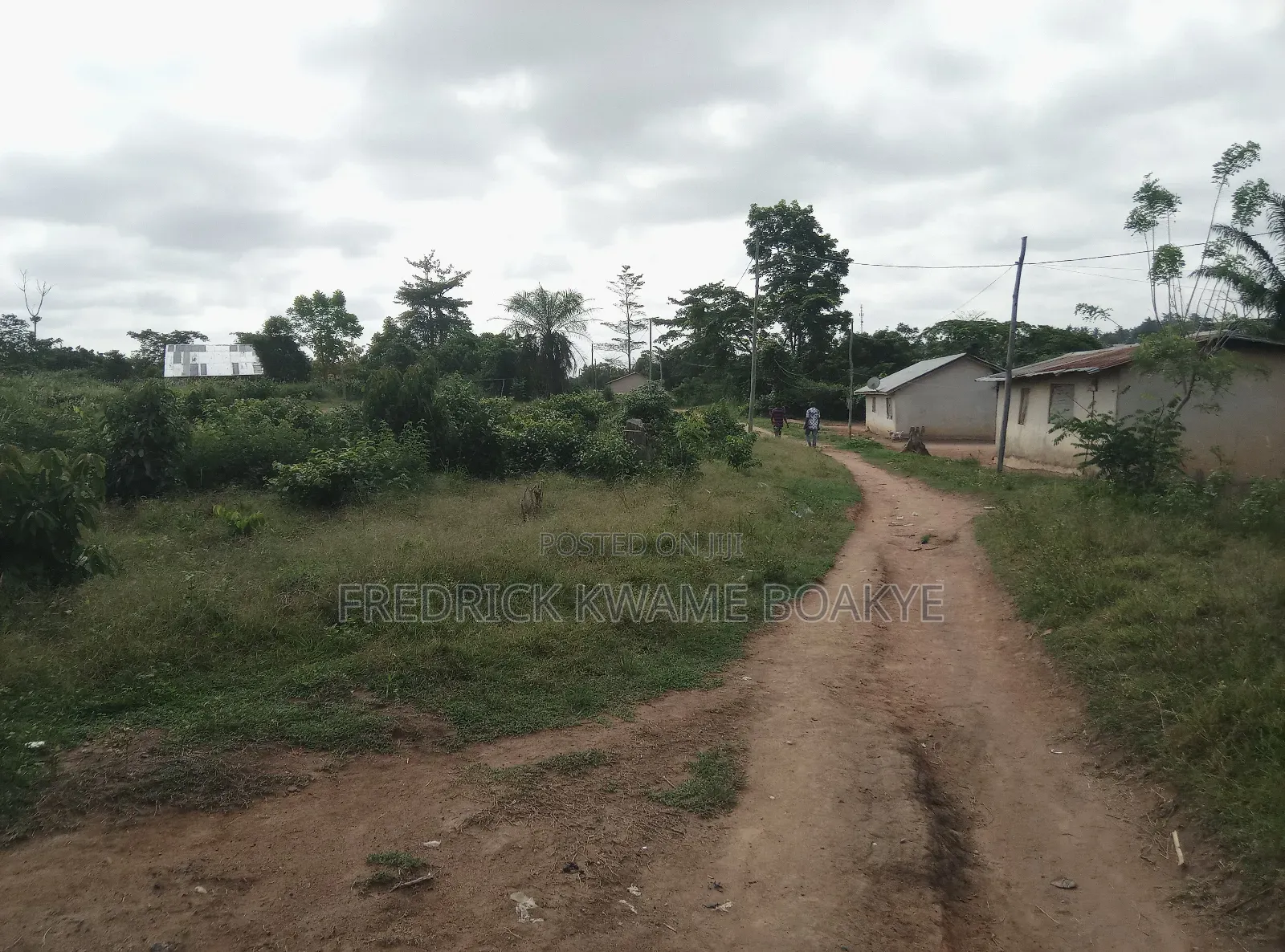One Acre Farm Land for Sale at Mankranso Baaniekrom