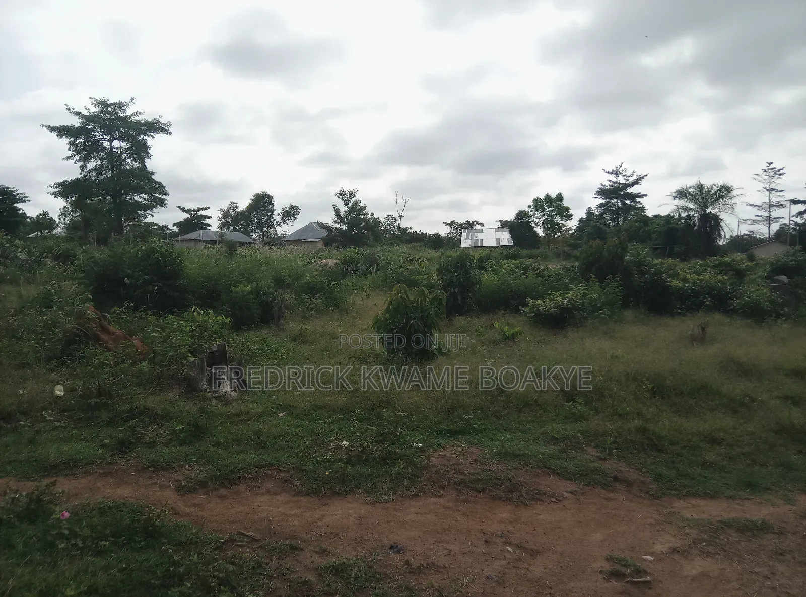 One Acre Farm Land for Sale at Mankranso Baaniekrom