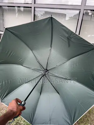 Classy Rain Sun Umbrellas