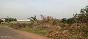 12 Acre Land for Sale at Ayi Mensah