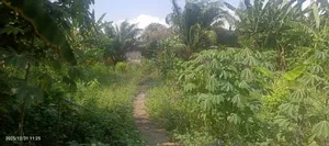 12 Acre Land for Sale at Ayi Mensah