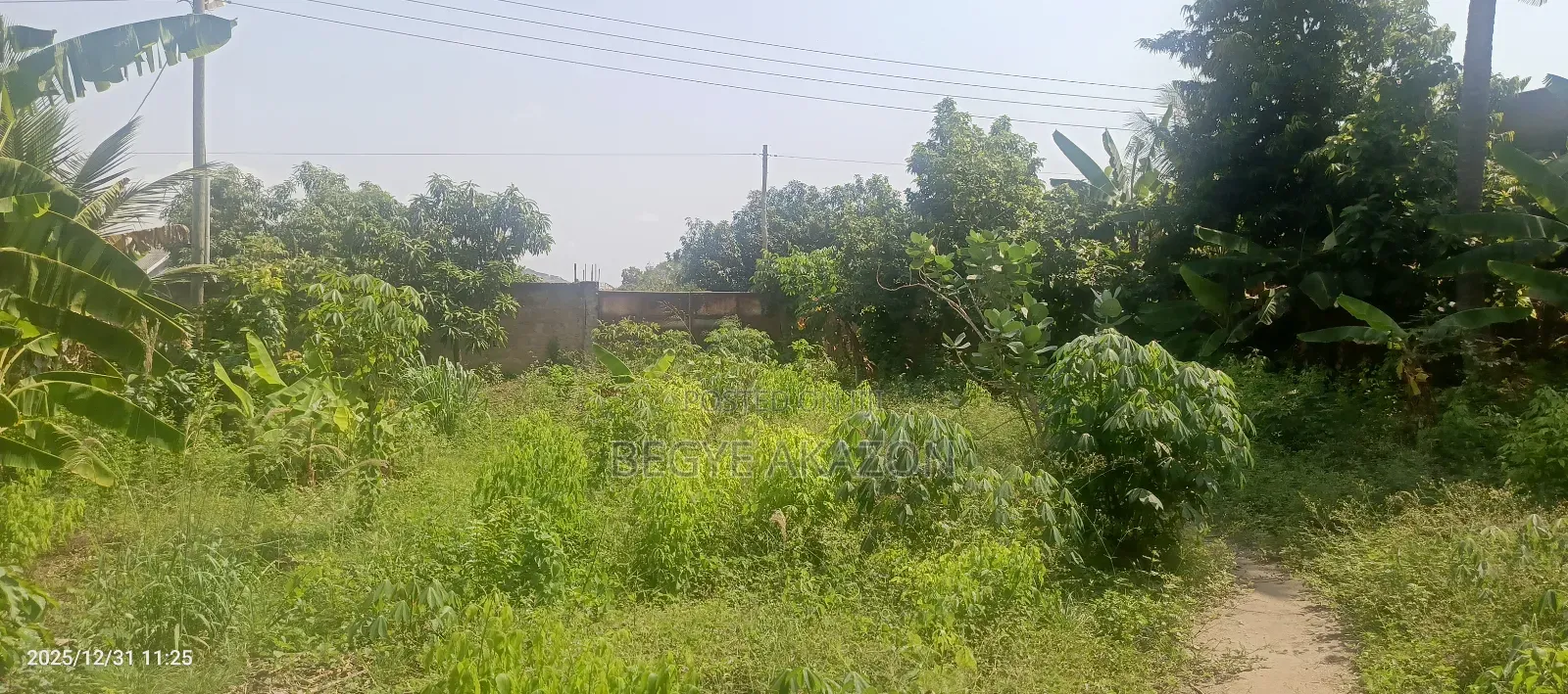 12 Acre Land for Sale at Ayi Mensah