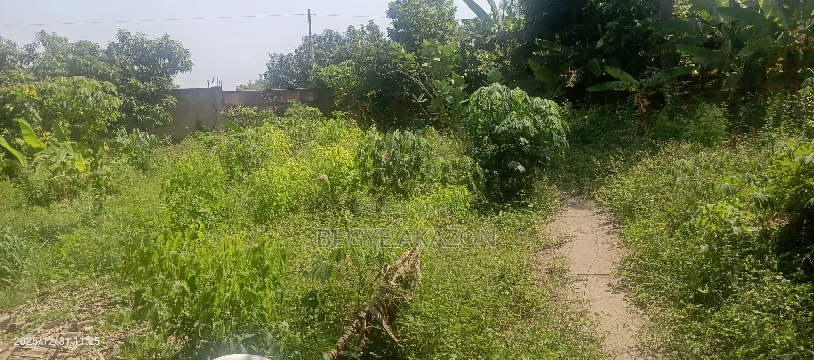 12 Acre Land for Sale at Ayi Mensah