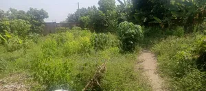 12 Acre Land for Sale at Ayi Mensah