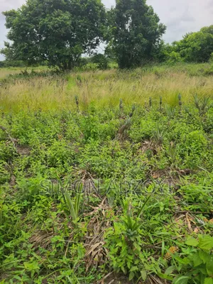 2000 Acres of Farm Land for Long-Term Lease