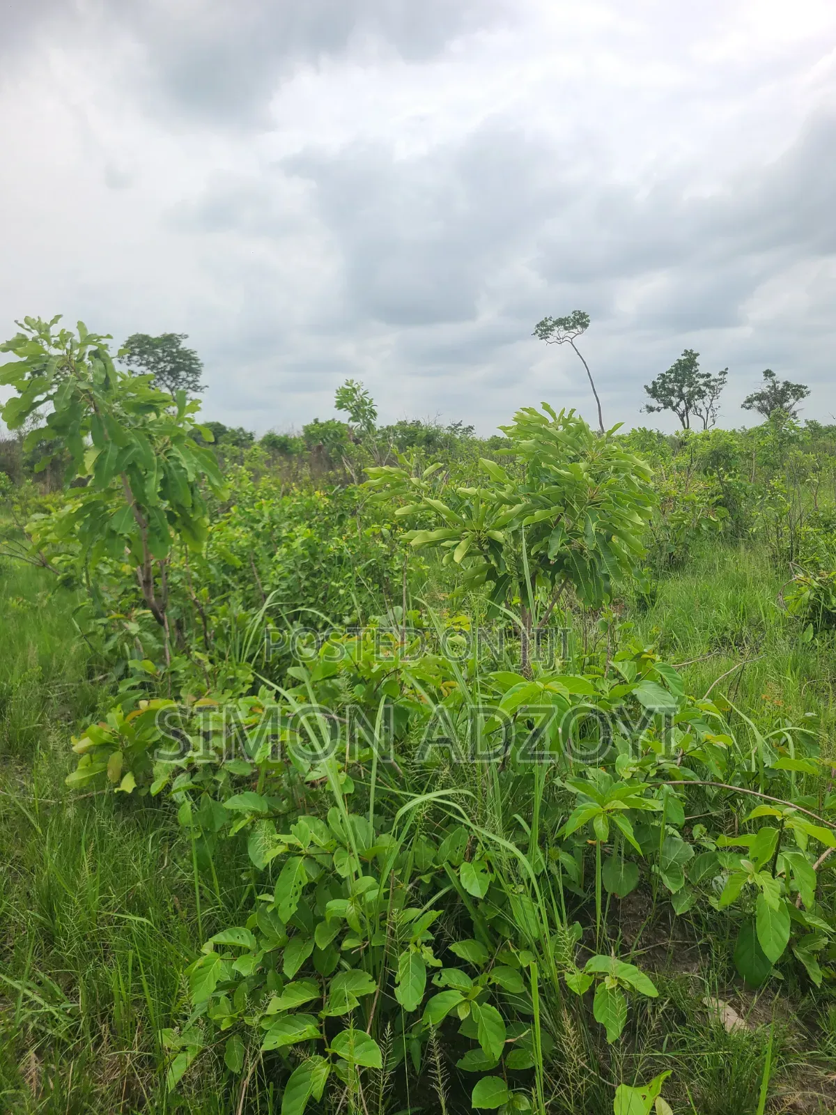 2000 Acres of Farm Land for Long-Term Lease