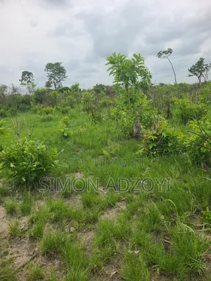 2000 Acres of Farm Land for Long-Term Lease