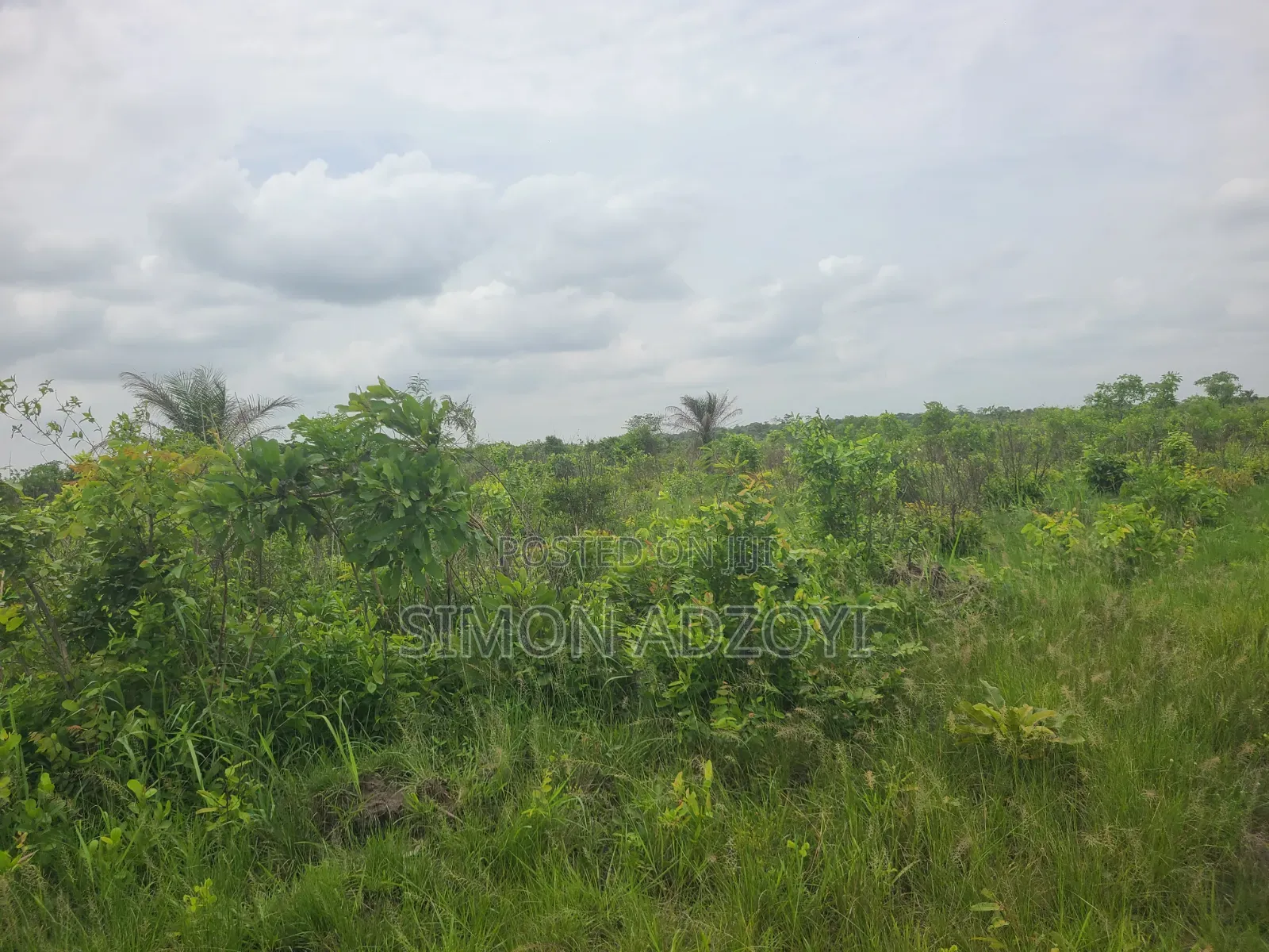 2000 Acres of Farm Land for Long-Term Lease