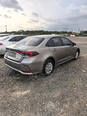 Toyota Corolla 2022 Gray