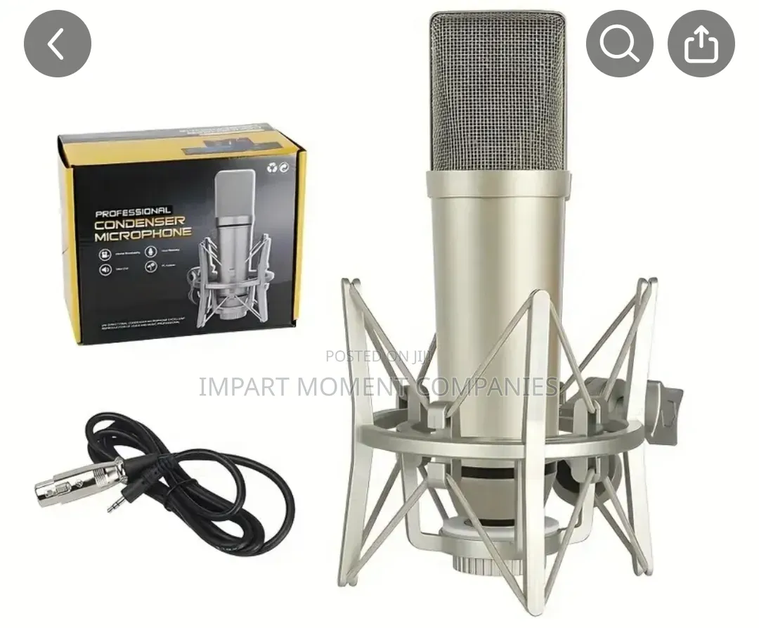 U87 Condenser Microphone