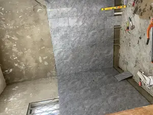 Professional Tiling Master