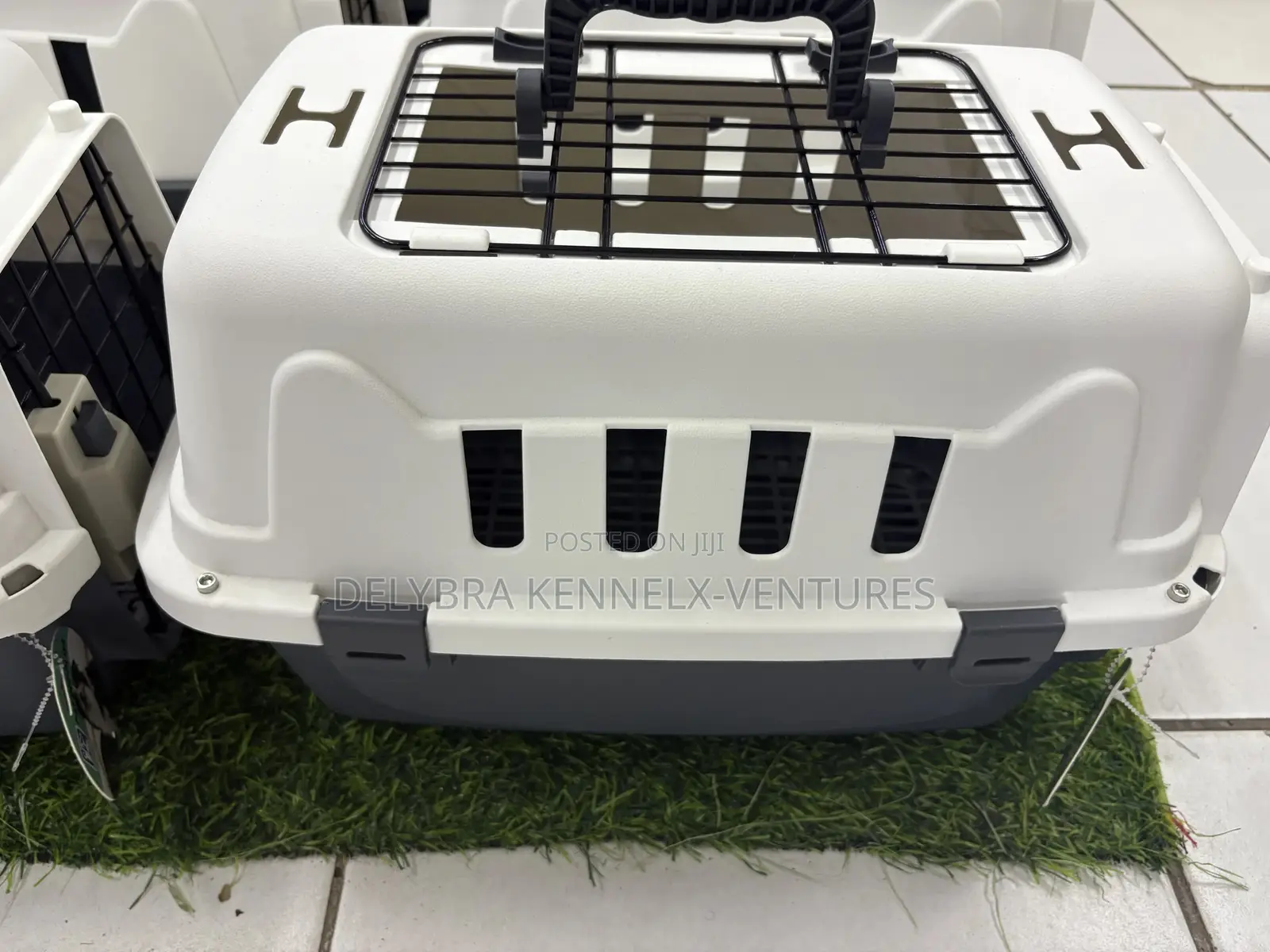 Pet Aviation Box