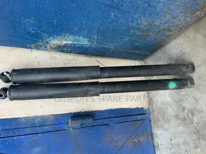 Ford F-150 Back Shock Absorber
