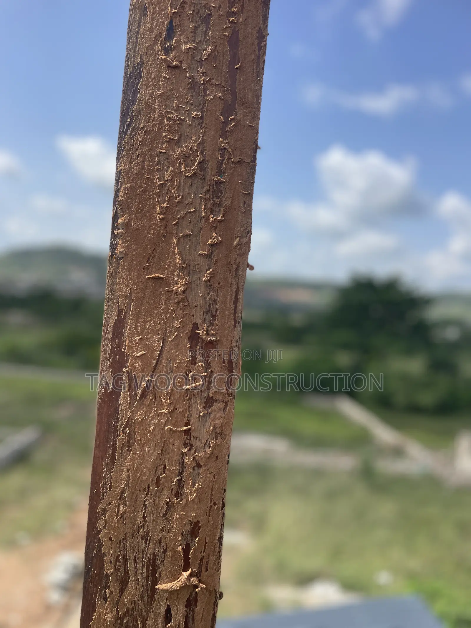 Pergola Repairs