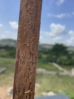 Pergola Repairs