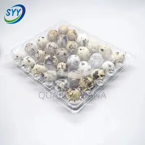 30 Cell Quail Egg Crate Tray_pet Plastic_33.8g