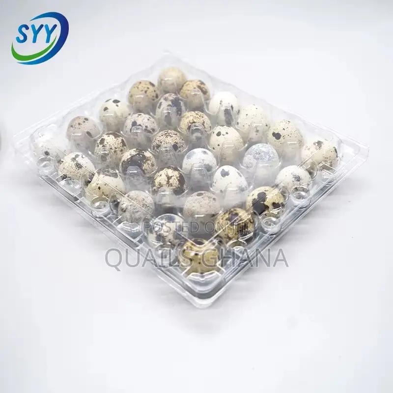 30 Cell Quail Egg Crate Tray_pet Plastic_33.8g