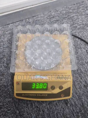 30 Cell Quail Egg Crate Tray_pet Plastic_33.8g