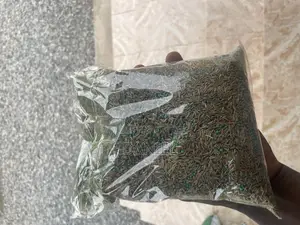 Grass (Lawn) Seeds