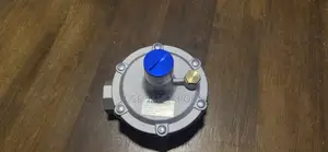 Low Pressure Gas Regulator